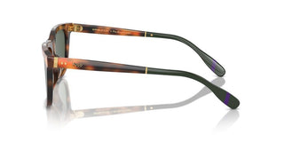 Polo Ralph Lauren Ph 4205u Men Havana Squared Sunglasses