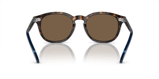 Polo Ralph Lauren PH 4206 men Havana Pantos Sunglasses