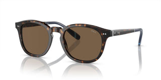 Polo Ralph Lauren PH 4206 men Havana Pantos Sunglasses