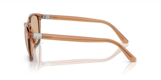 Polo Ralph Lauren PH 4208U men Brown Squared Sunglasses