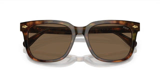 Polo Ralph Lauren PH 4210 men Brown Squared Sunglasses