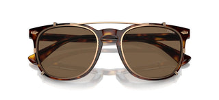 Polo Ralph Lauren PH 4214 WITH CLIP-ON men Havana Pantos Sunglasses