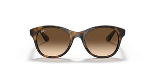 Ray-Ban PLASTIC ROUND RB 4203 unisex Havana Round Sunglasses