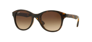 Ray-Ban PLASTIC ROUND RB 4203 unisex Havana Round Sunglasses