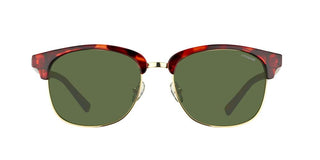 Polaroid Pld 1012/s Men Havana Geometric Sunglasses