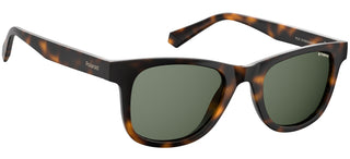 Polaroid PLD 1016/S/NEW men Havana Squared Sunglasses