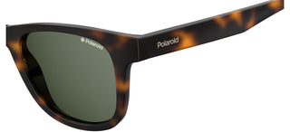 Polaroid PLD 1016/S/NEW men Havana Squared Sunglasses