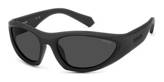 Polaroid Pld 2165/s Unisex Black Geometric Sunglasses