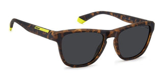 Polaroid PLD 2168/S men 0 Pantos Sunglasses