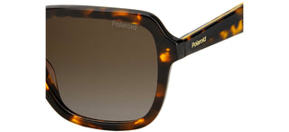 Polaroid PLD 4095/S/X women Havana Butterfly Sunglasses