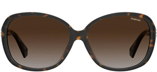 Polaroid PLD 4098/S women Havana Butterfly Sunglasses