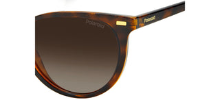 Polaroid PLD 4107/S SUSTAINABLE COLLECTION women Havana Cat Eye Sunglasses