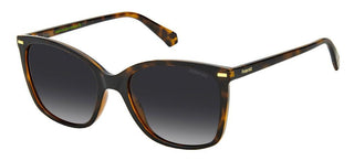 Polaroid PLD 4108/S SUSTAINABLE COLLECTION women Havana Geometric Sunglasses
