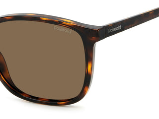 Polaroid PLD 4139/S men Havana Squared Sunglasses