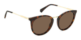 Polaroid PLD 4146/S/X women Havana Butterfly Sunglasses