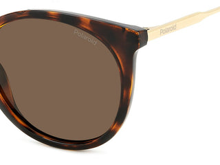 Polaroid PLD 4146/S/X women Havana Butterfly Sunglasses