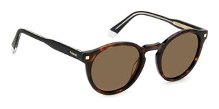Polaroid PLD 4150/S/X men Havana Round Sunglasses