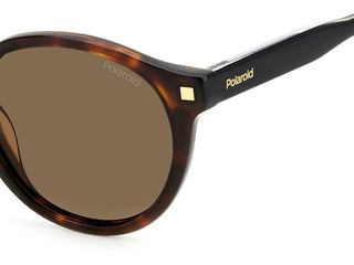 Polaroid PLD 4150/S/X men Havana Round Sunglasses