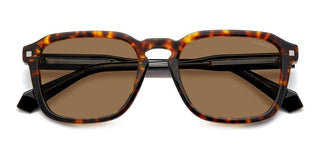 Polaroid PLD 4156/S/X unisex Havana Geometric Sunglasses