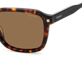 Polaroid PLD 4156/S/X unisex Havana Geometric Sunglasses
