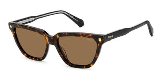 Polaroid PLD 4157/S/X women Havana Cat Eye Sunglasses