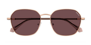 Polaroid PLD 4168/G/S/X men Rose gold Geometric Sunglasses