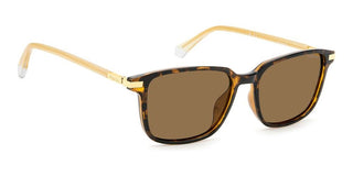 Polaroid PLD 4169/G/S/X men Havana Squared Sunglasses