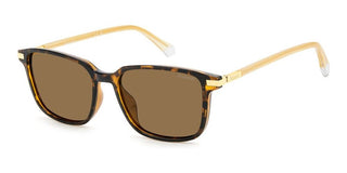Polaroid PLD 4169/G/S/X men Havana Squared Sunglasses