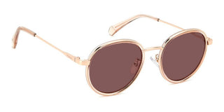 Polaroid PLD 4173/G/S/X unisex 0 Sunglasses