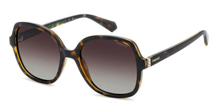 Polaroid PLD 4177/S/X women Havana Squared Sunglasses