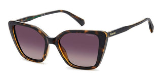 Polaroid PLD 4189/S women Havana Butterfly Sunglasses