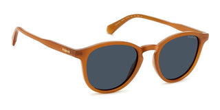 Polaroid PLD 4191/S men Brown Pantos Sunglasses