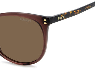 Polaroid PLD 4200/S/X women 0 Cat Eye Sunglasses
