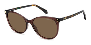 Polaroid PLD 4200/S/X women 0 Cat Eye Sunglasses