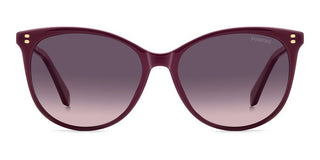 Polaroid PLD 4200/S/X women 0 Cat Eye Sunglasses