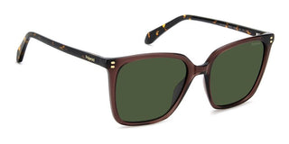 Polaroid PLD 4201/S/X women Brown Squared Sunglasses
