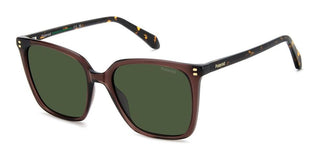 Polaroid PLD 4201/S/X women Brown Squared Sunglasses