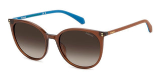 Polaroid Pld 4208/s/x Women Brown Cat Eye Sunglasses