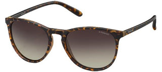 Polaroid PLD 6003/N/S men Havana Geometric Sunglasses