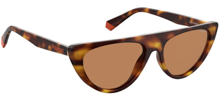 Polaroid PLD 6108/S women Havana Cat Eye Sunglasses