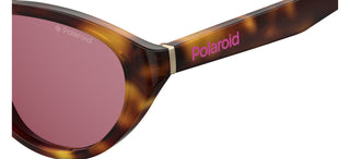 Polaroid PLD 6109/S women Havana Cat Eye Sunglasses