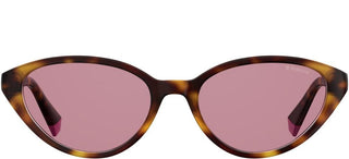 Polaroid PLD 6109/S women Havana Cat Eye Sunglasses