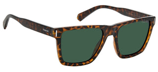 Polaroid PLD 6176/S men Havana Geometric Sunglasses