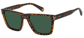Polaroid PLD 6176/S men Havana Geometric Sunglasses