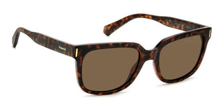 Polaroid PLD 6191/S unisex Havana Squared Sunglasses