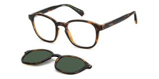 Polaroid PLD 6203/CS unisex Havana Sunglasses