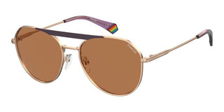Polaroid PLD 6211/S/X unisex 0 Geometric Sunglasses