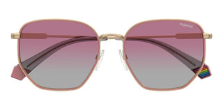 Polaroid Pld 6214/s/xn Unisex Gold Geometric Sunglasses