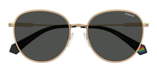 Polaroid Pld 6215/s/xn Unisex Gold Pantos Sunglasses
