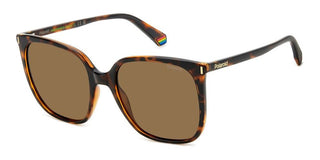 Polaroid PLD 6218/S women Havana Geometric Sunglasses